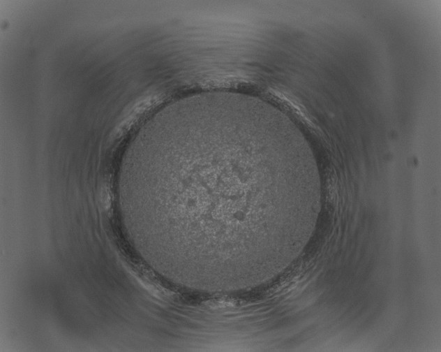 X0000073920687200608181049