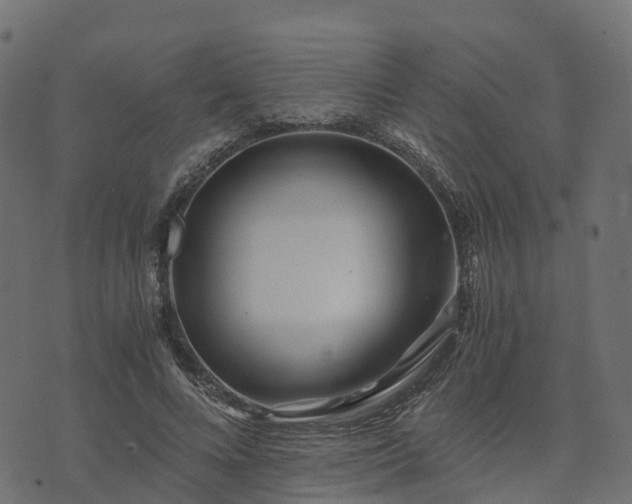 X0000073920688200608181049