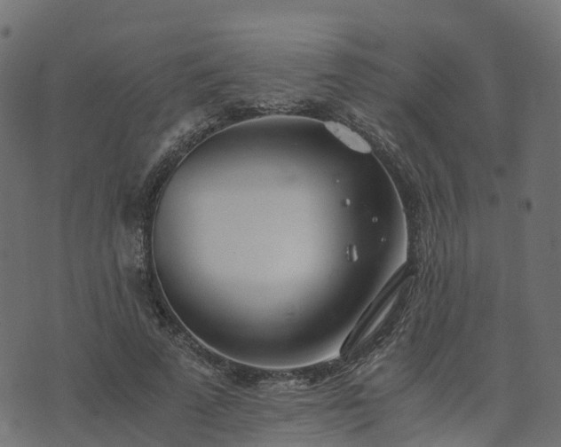 X0000073920689200608181049