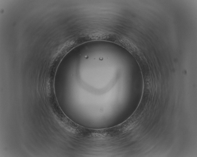 X0000073920690200608181049