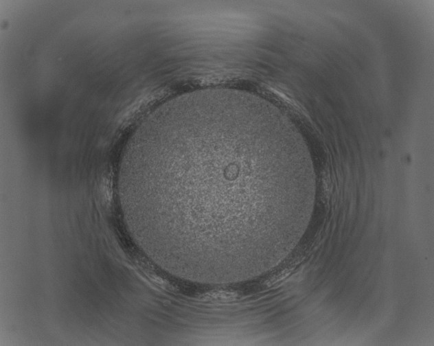 X0000073920691200608181049