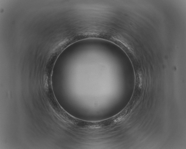 X0000073920692200608181049