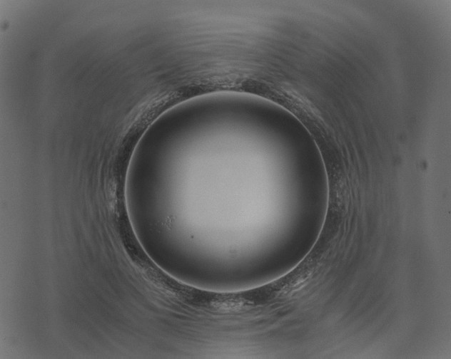 X0000073920693200608181049