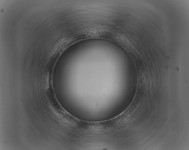 X0000073920694200608181049