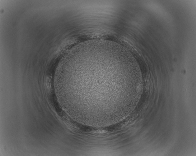 X0000073920695200608181049