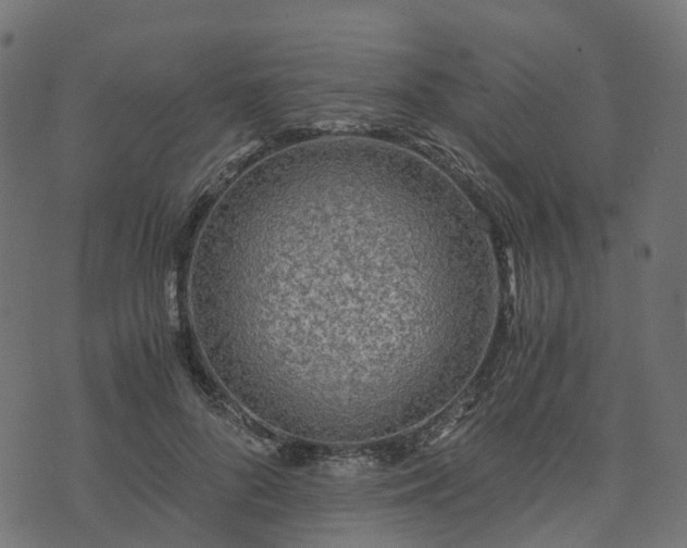 X0000073920696200608181049