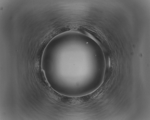 X0000073920697200608181049