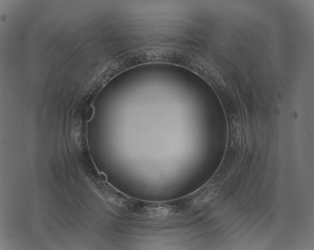 X0000073920698200608181049