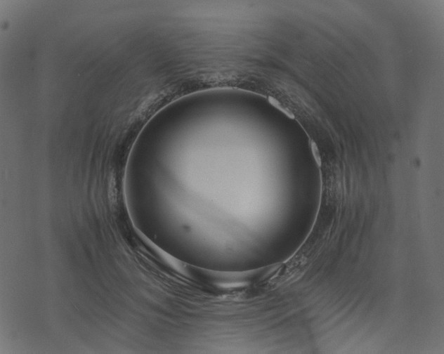 X0000073920700200608181049