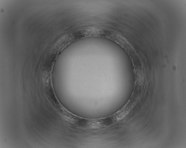 X0000073920701200608181049