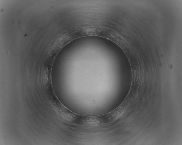 X0000073920702200608181049