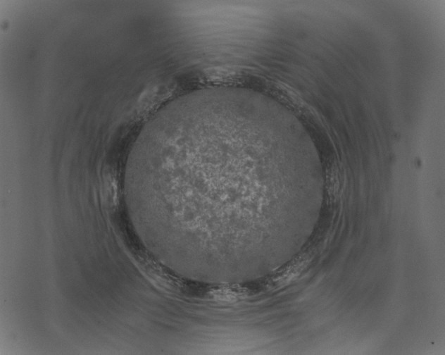 X0000073920703200608181049