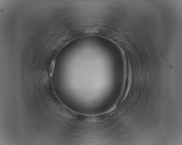 X0000073920704200608181049