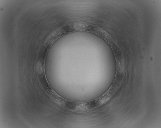 X0000073920705200608181049