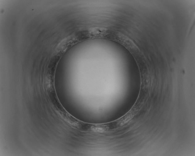 X0000073920706200608181049