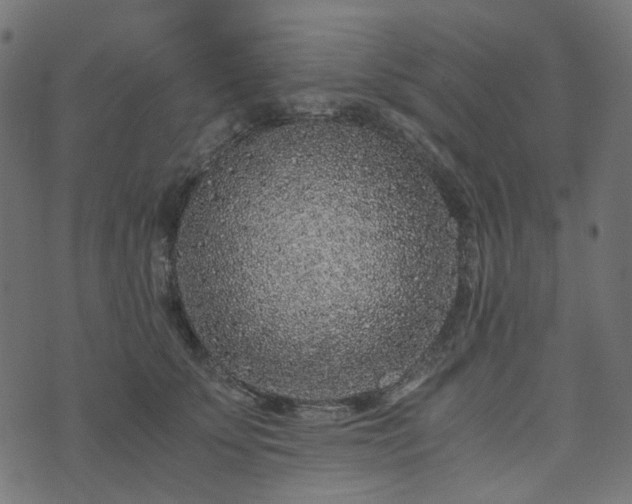 X0000073920707200608181049