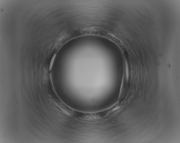 X0000073920708200608181049