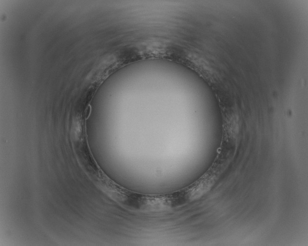 X0000073920709200608181049