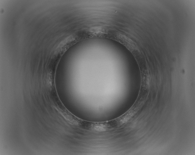 X0000073920710200608181049