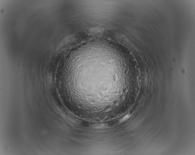 X0000073920711200608181049