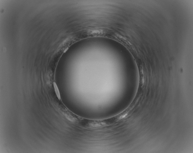 X0000073920712200608181049