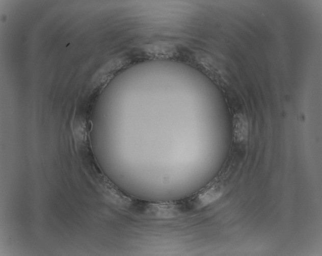 X0000073920713200608181049