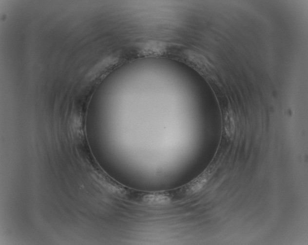 X0000073920714200608181049