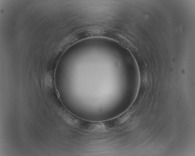 X0000073920715200608181049