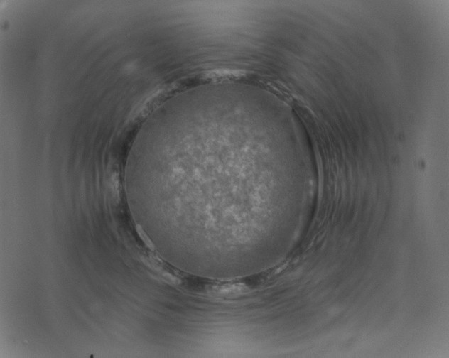 X0000073920716200608181049