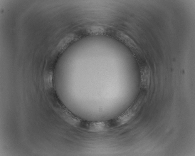 X0000073920717200608181049