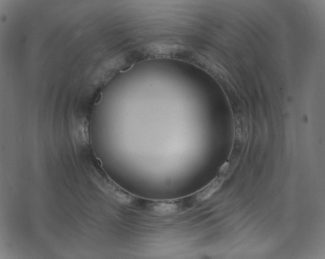 X0000073920718200608181049