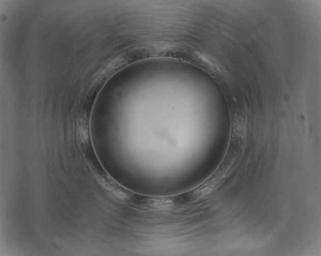 X0000073920719200608181049