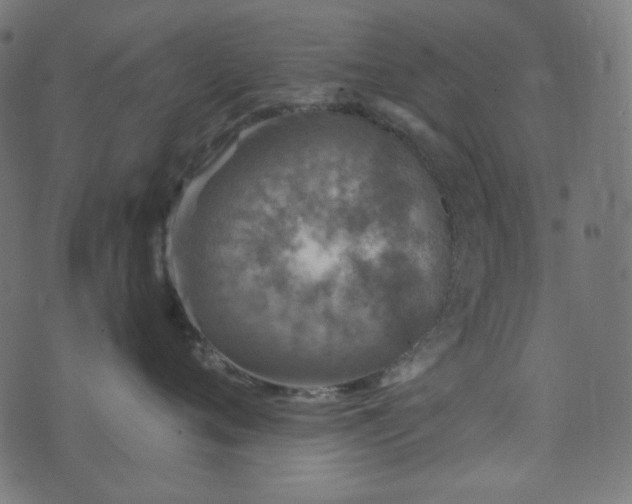 X0000073920720200608181049