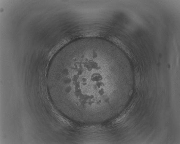 X0000073920721200608181048