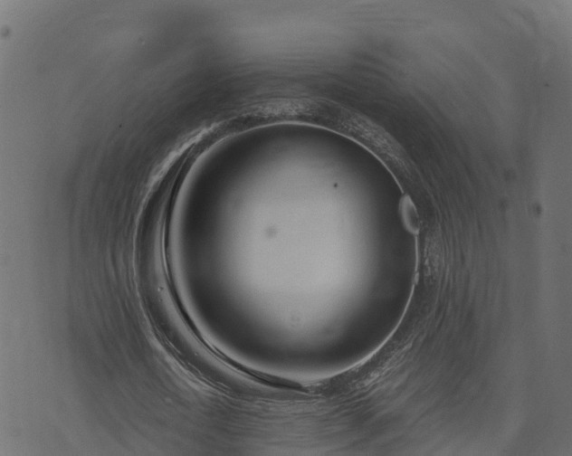 X0000073920722200608181048