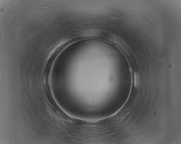 X0000073920723200608181048