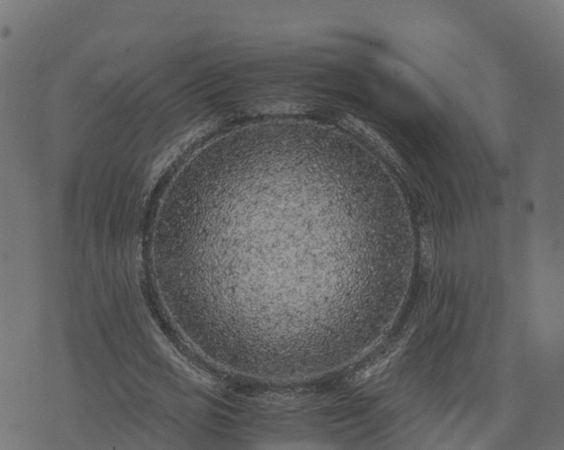 X0000073920725200608181048