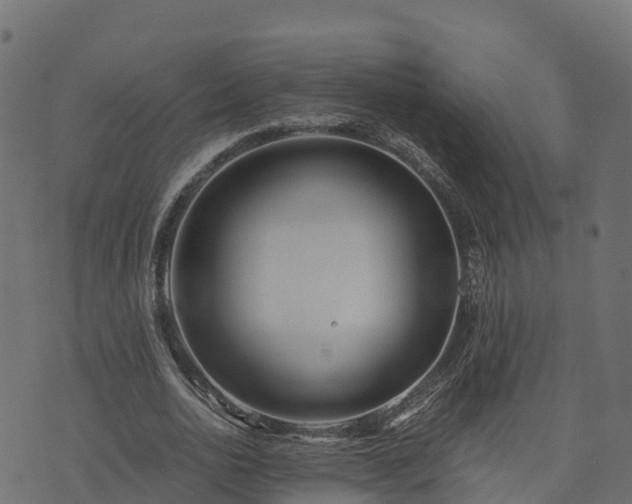 X0000073920726200608181048