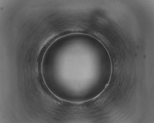 X0000073920727200608181048