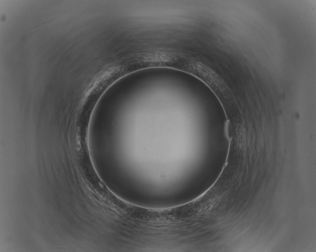 X0000073920731200608181048