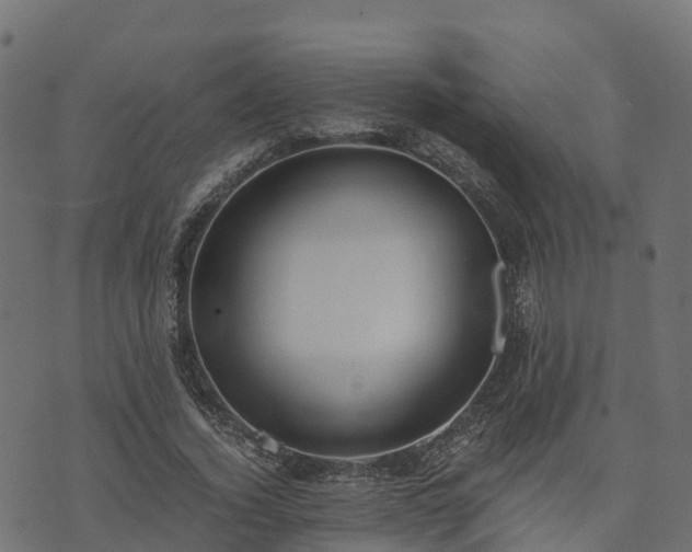 X0000073920732200608181048