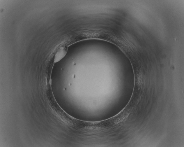 X0000073920733200608181048