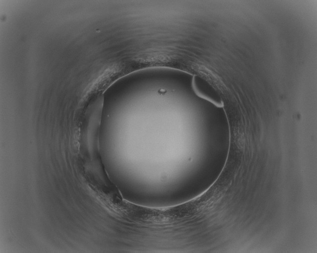 X0000073920735200608181048