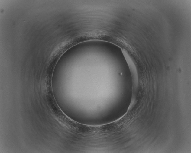 X0000073920736200608181048