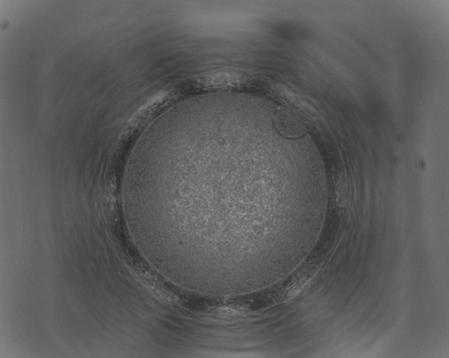 X0000073920737200608181048