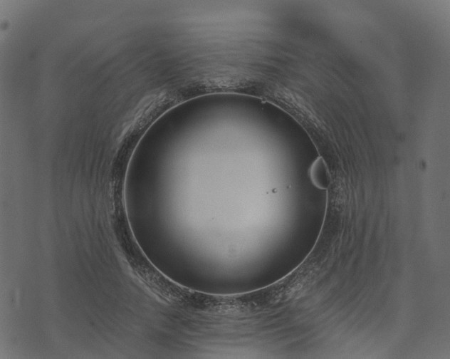 X0000073920738200608181048