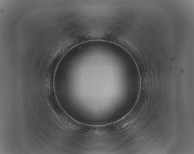 X0000073920739200608181048