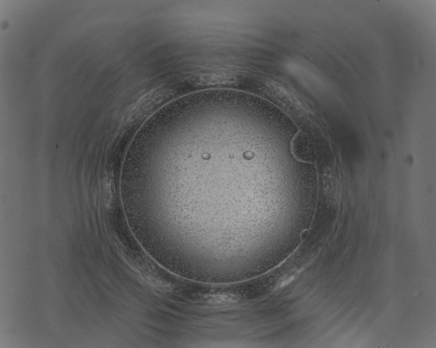 X0000073920741200608181049