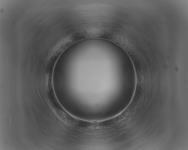 X0000073920742200608181049