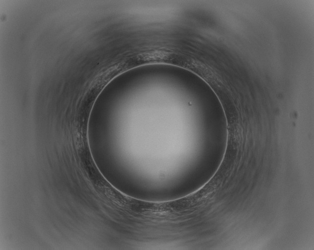 X0000073920743200608181049